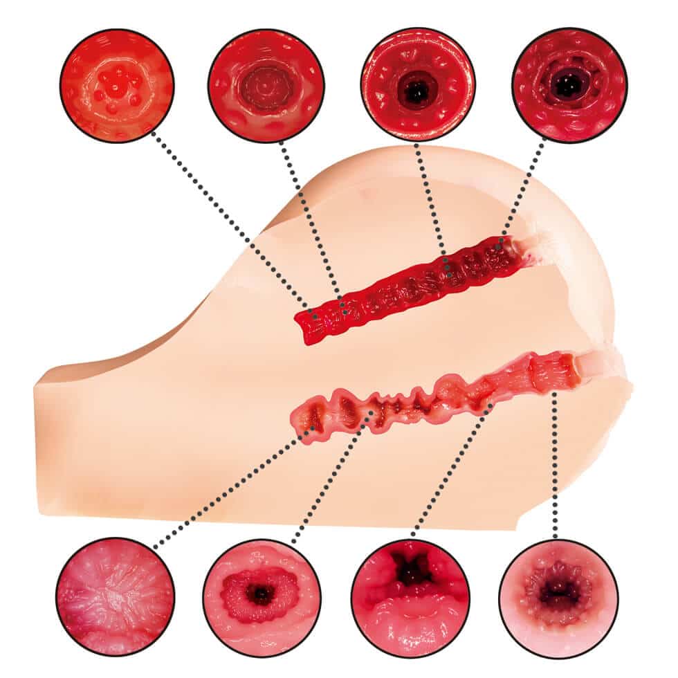 12161535_5fd9aaa1193ad